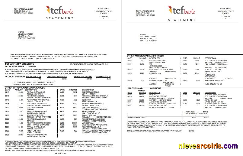 USA TCF bank statement, Word and PDF, 3 pages
